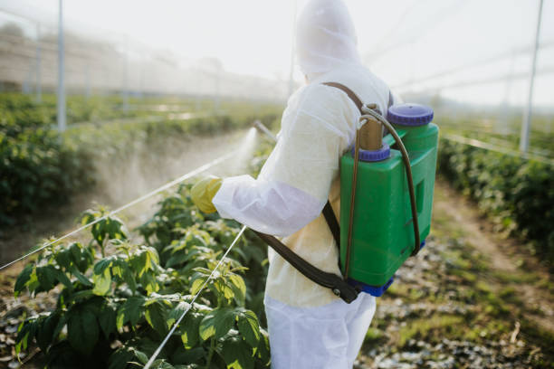 Best Bed Bug Extermination  in Keller, TX